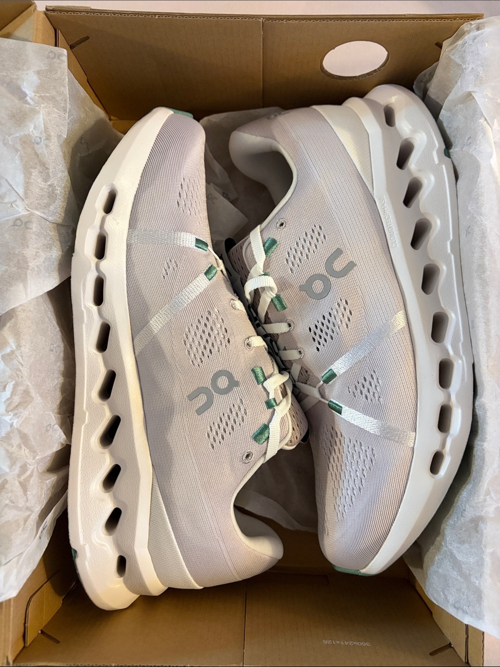On Cloud CloudSurfer (NWT)